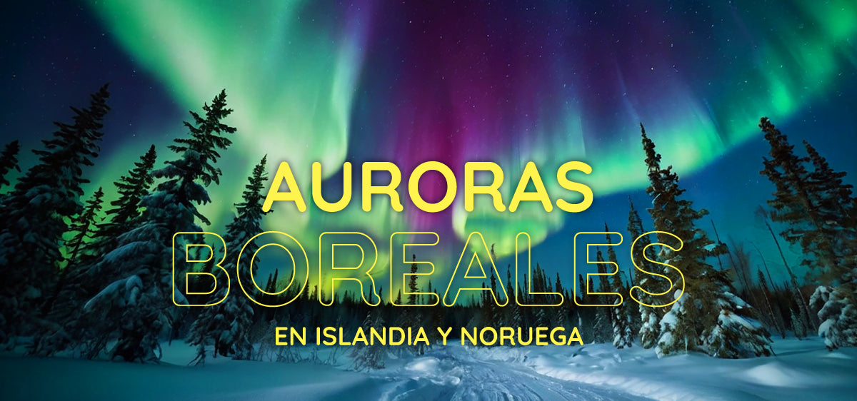 Auroras boreales en Islandia y Noruega: Conectividad, Requisitos y Consejos