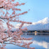 Descubriendo Japón: Un viaje inolvidable
